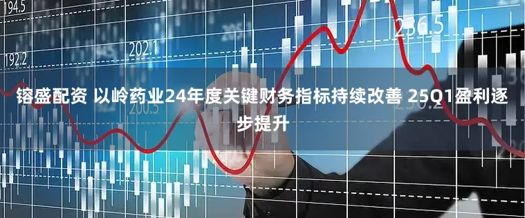 镕盛配资 以岭药业24年度关键财务指标持续改善 25Q1盈利逐步提升