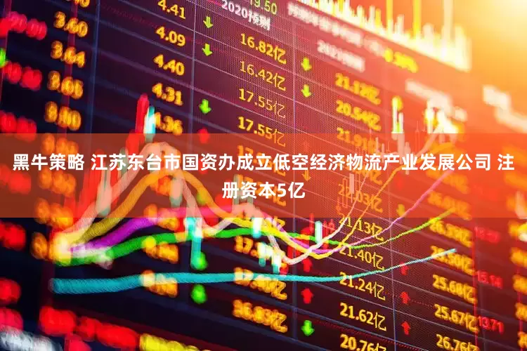黑牛策略 江苏东台市国资办成立低空经济物流产业发展公司 注册资本5亿