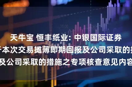 天牛宝 恒丰纸业: 中银国际证券股份有限公司关于本次交易摊薄即期回报及公司采取的措施之专项核查意见内容摘要
