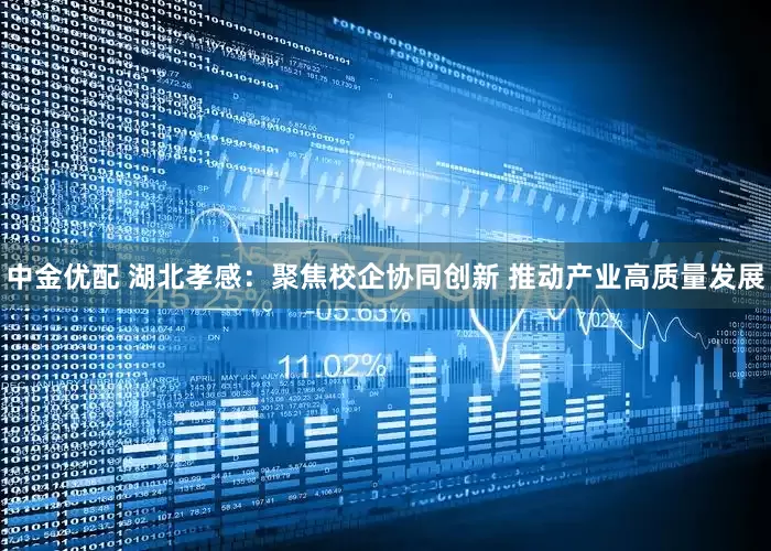中金优配 湖北孝感：聚焦校企协同创新 推动产业高质量发展