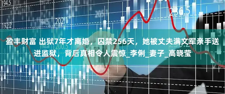 盈丰财富 出狱7年才离婚，囚禁256天，她被丈夫满文军亲手送进监狱，背后真相令人震惊_李俐_妻子_高晓莹