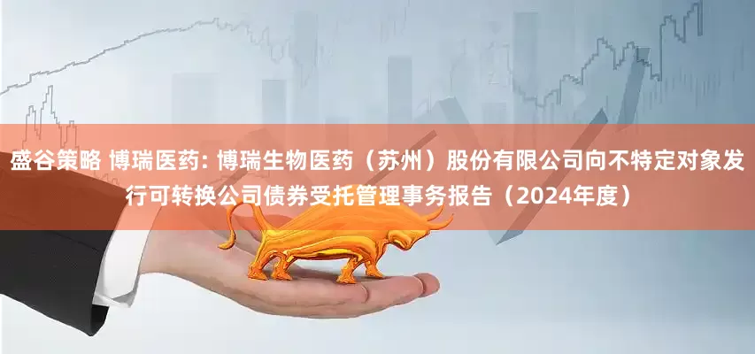 盛谷策略 博瑞医药: 博瑞生物医药（苏州）股份有限公司向不特定对象发行可转换公司债券受托管理事务报告（2024年度）