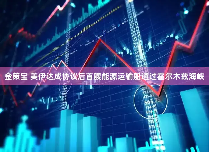 金策宝 美伊达成协议后首艘能源运输船通过霍尔木兹海峡